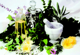 Penis enlargement with herbs