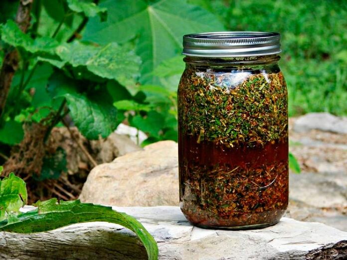 A decoction of wormwood will help increase the size of the male genital organ