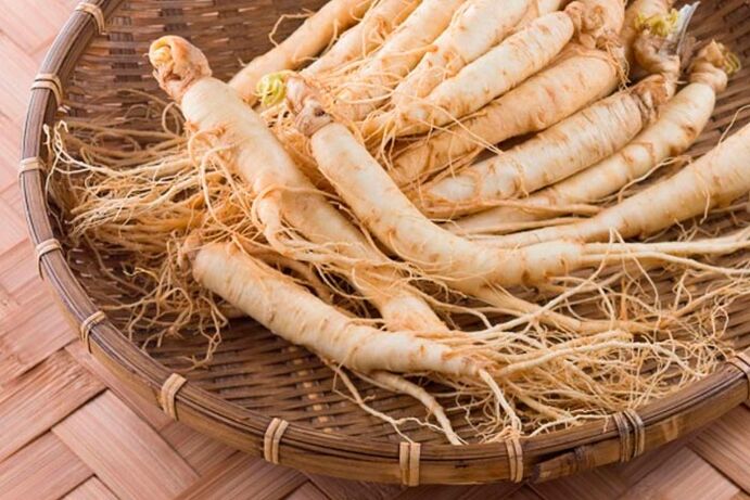 Ginseng root for making a tincture that stimulates blood flow to the penile tissue